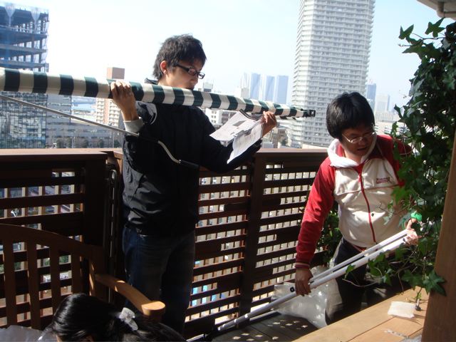 編集長日記ー観葉植物レンタル「LOVE GREEN」スタート!_c0195791_0355434.jpg