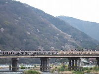 f0095391_28250.jpg