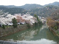 f0095391_28933.jpg