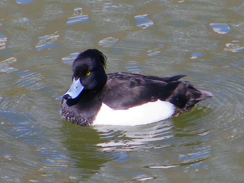 f0204094_912163.jpg