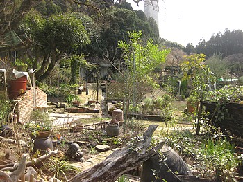   \"  お庭　　”_f0141595_19395621.jpg