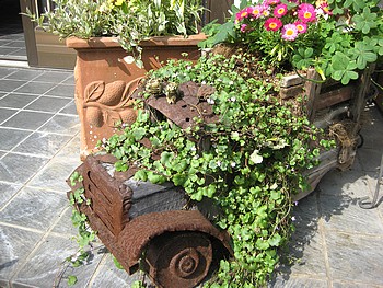   \"  お庭　　”_f0141595_19431661.jpg