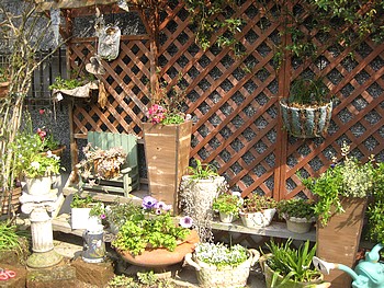   \"  お庭　　”_f0141595_19514529.jpg