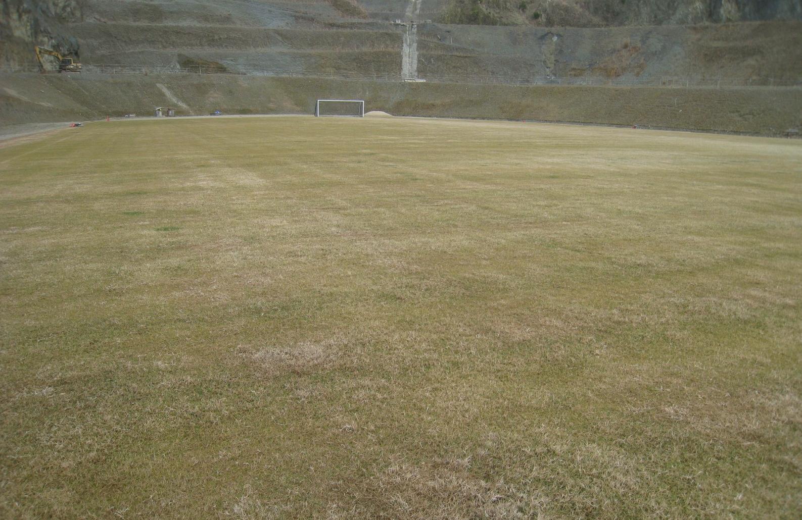 冬芝の状態 とどろみに天然芝のサッカー場を 鳥取方式にて