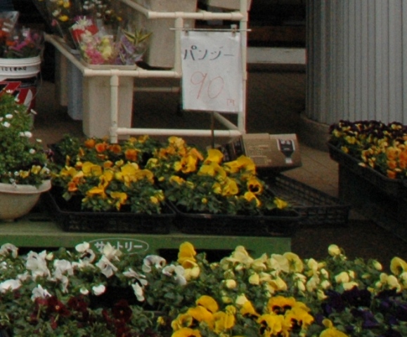 e0018604_1234581.jpg