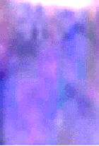 e0103408_13345144.gif