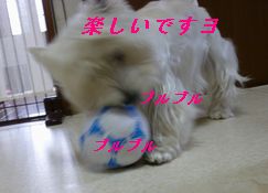 a0161111_19592811.jpg