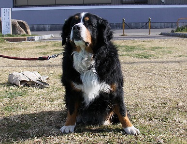 f0191413_20114391.jpg