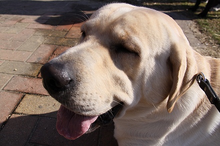 f0191413_20125436.jpg