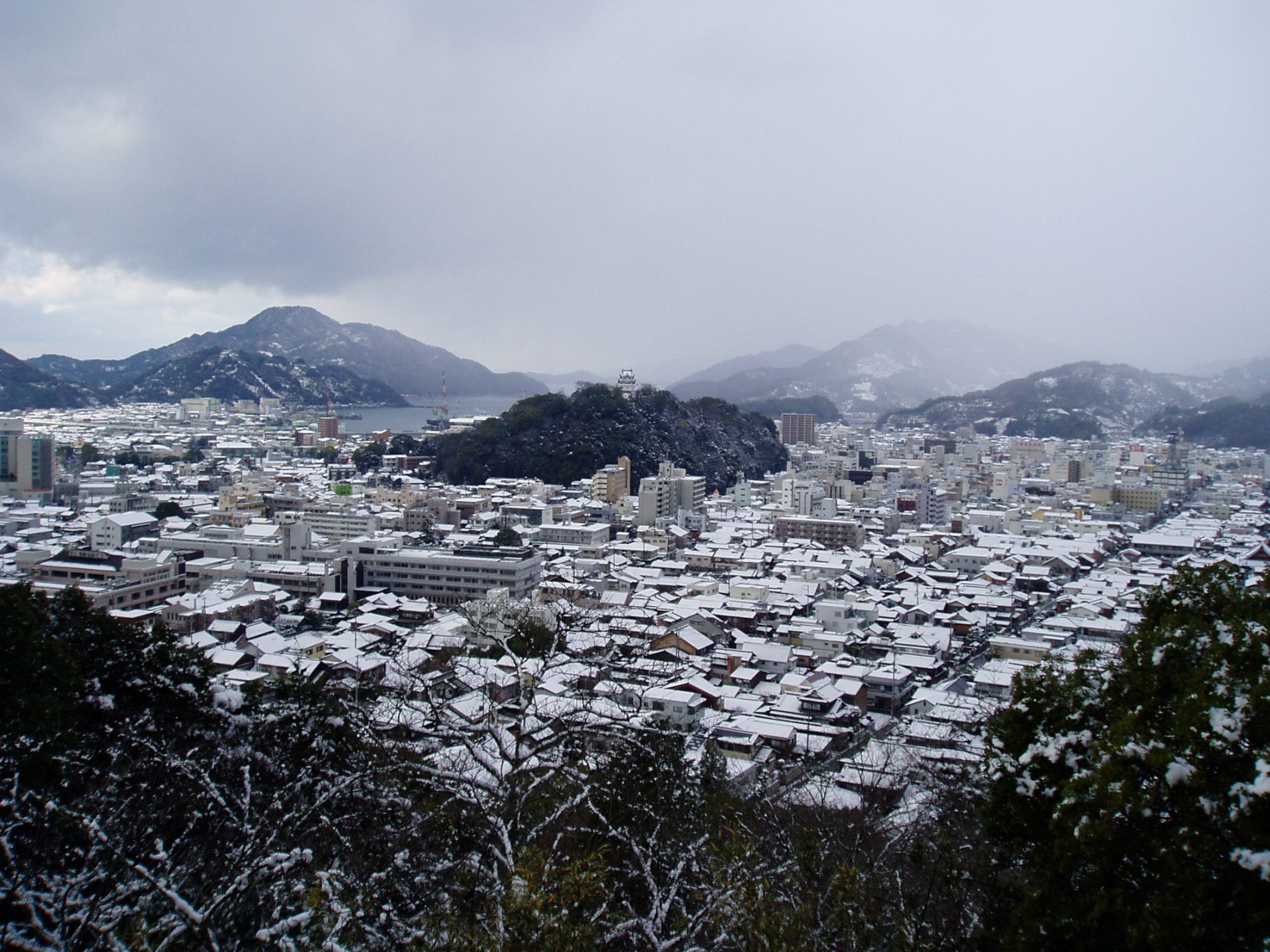 宇和島の冬景色_f0193017_1122266.jpg