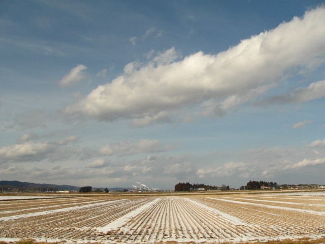 f0143119_19462138.jpg