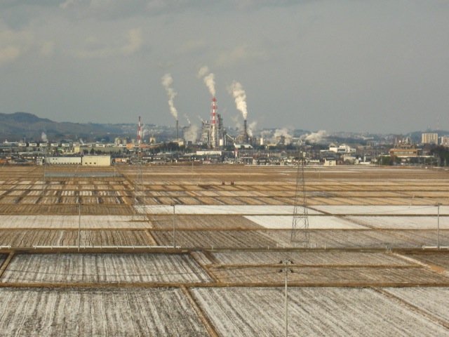 f0143119_1950815.jpg