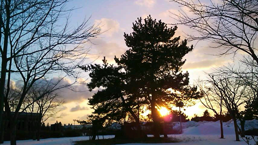 c0179647_1734536.jpg