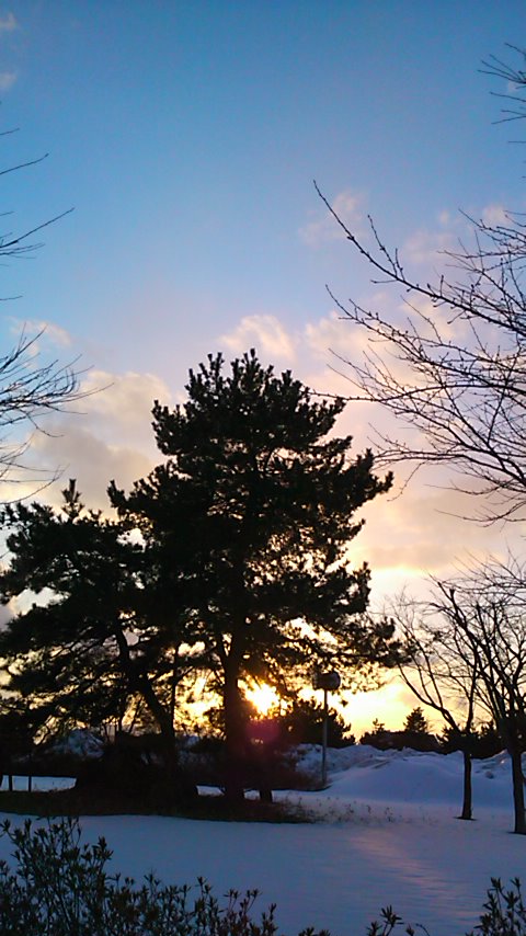 c0179647_1734545.jpg