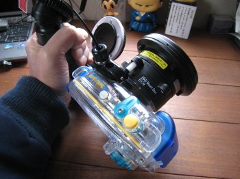 b0093050_167873.jpg