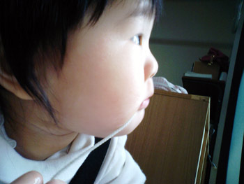 b0168851_0163437.jpg