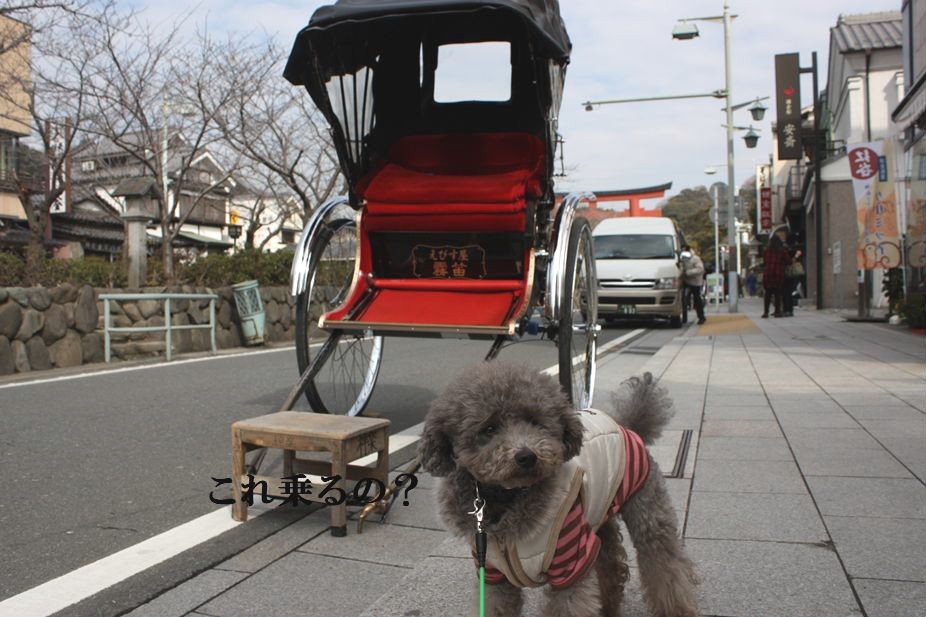 鎌倉❤小旅行（小町通り編）_e0129656_22235489.jpg