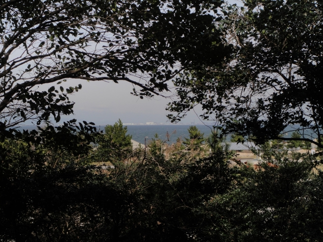 c0108460_1523439.jpg