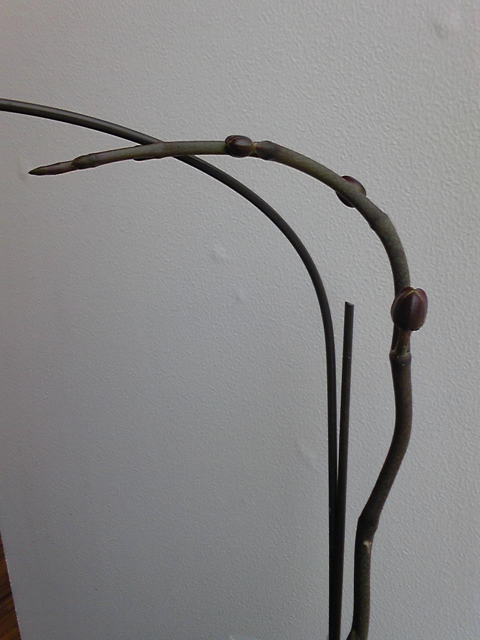 e0186661_20163376.jpg