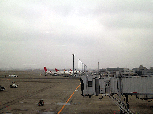 b0101263_16135028.gif