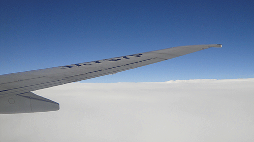 b0101263_1628116.gif