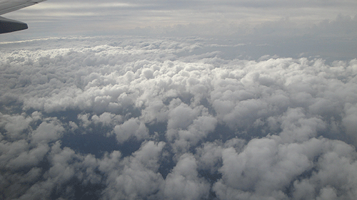 b0101263_16281934.gif