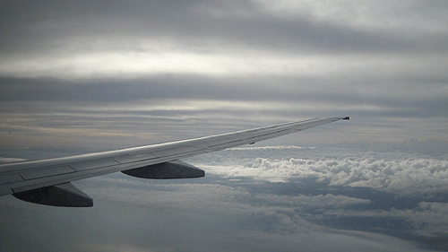 b0101263_16282793.gif