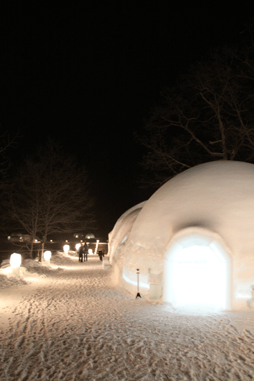 f0107364_13423884.gif