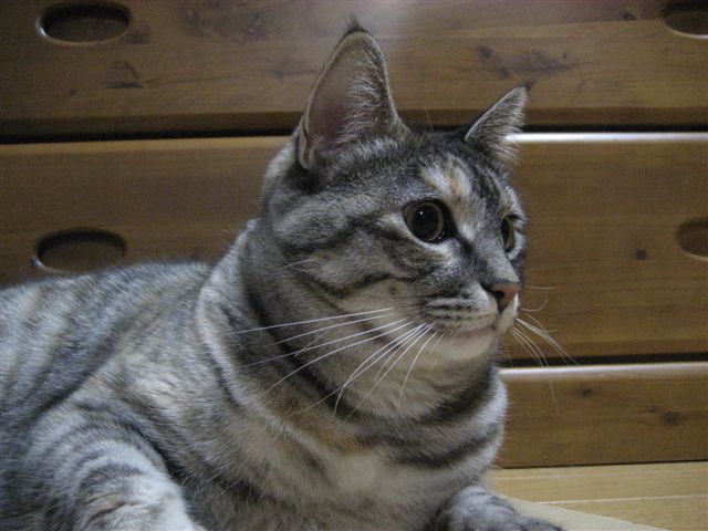 a0123465_2342440.jpg