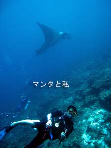 出だし好調シミラン☆_f0144385_2243114.jpg