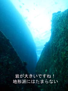 出だし好調シミラン☆_f0144385_224354.jpg