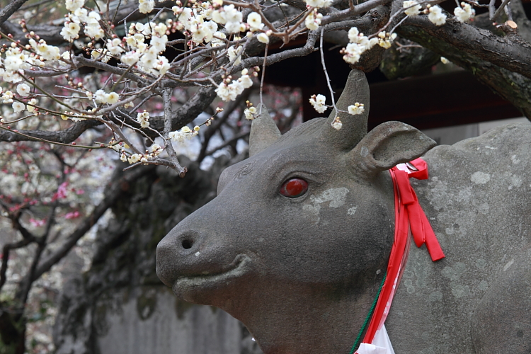 京都散策_e0051888_3501622.jpg