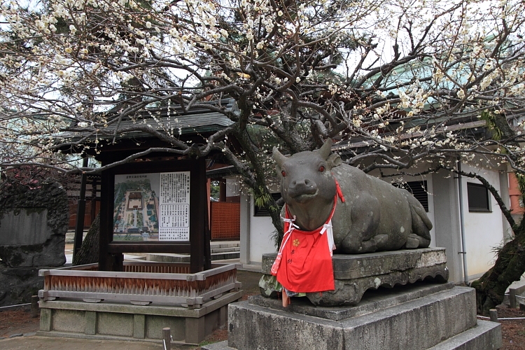 京都散策_e0051888_3505977.jpg