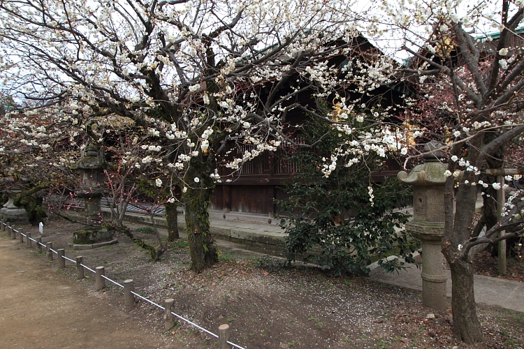 京都散策_e0051888_3514726.jpg