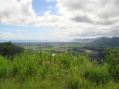 a0007193_2201233.jpg