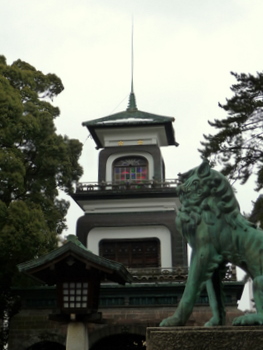 雷鳥_a0135999_18501784.jpg
