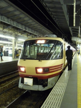 雷鳥_a0135999_1952931.jpg