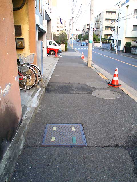 谷沢川上流部（５）田頭溜池支流と天神溜池支流_c0163001_22334033.jpg