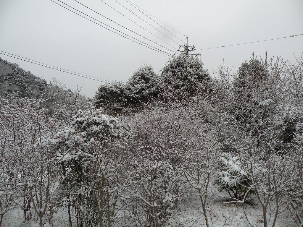 e0015108_7465950.jpg