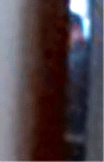 e0103408_12325925.gif