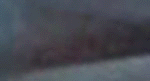 e0103408_1233305.gif