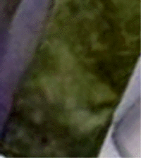 e0103408_12335635.gif