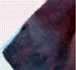 e0103408_12342014.gif