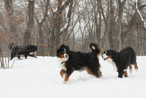 February 13, 2010　14バニでラン遊び_f0137508_16445777.jpg