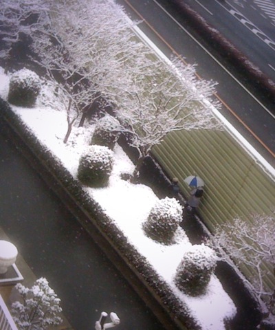 雪〜〜〜_c0004211_822162.jpg