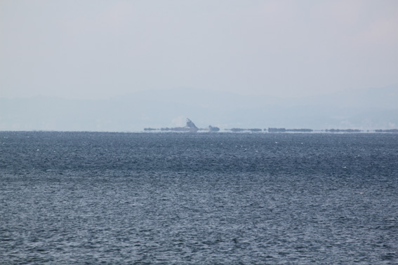 e0034013_21355721.jpg