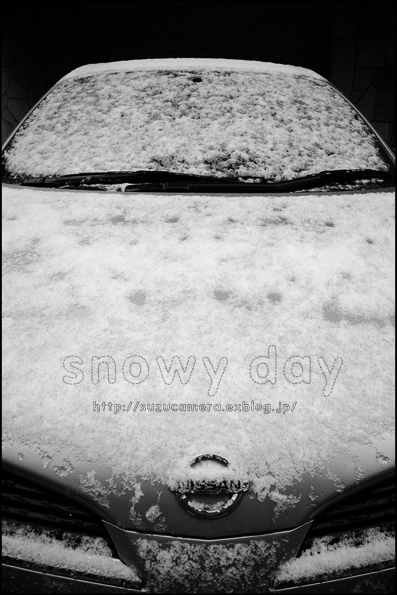 雪の日_f0100215_22455749.jpg