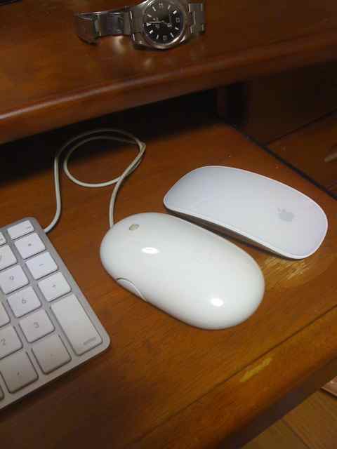 magic mouse_b0177617_19454511.jpg