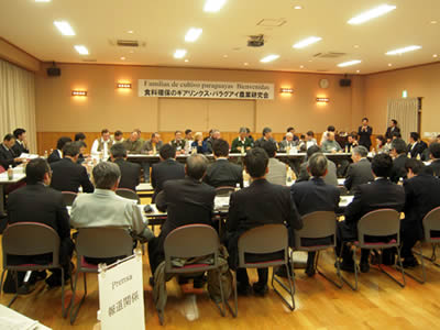 パラグアイ訪日団意見交換会開催_d0063218_2115921.jpg
