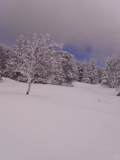 2月3日　北八ヶ岳大好き♡_e0082234_1433352.jpg